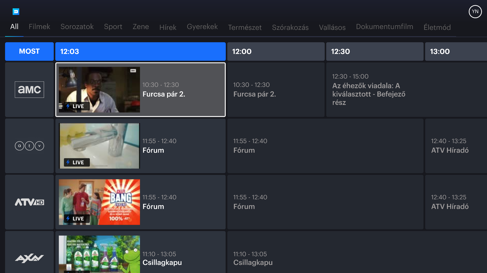 Live EPG grid